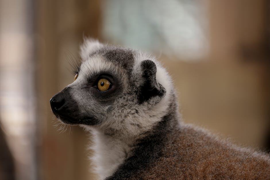 皺紋：了解與預防的實用指南