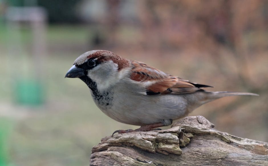 免費估價：專業案例解析與客觀評估